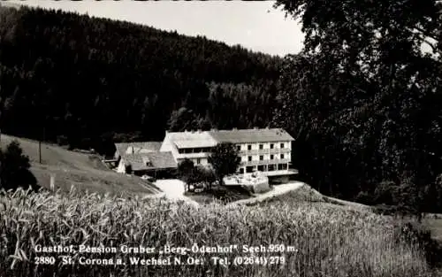 Ak St Corona am Wechsel in Niederösterreich, Gasthof Pension Gruber Berg-Ödenhof