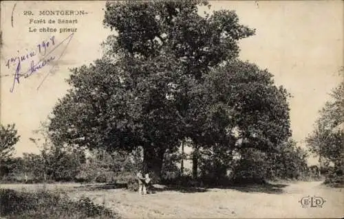 Ak Montgeron Essonne, Foret de Senart, Le chene prieur