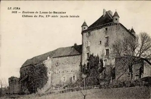Ak Lons le Saunier Jura, Chateau du Pin, Facade laterale