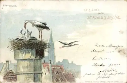 Ak Strasbourg Straßburg Elsass Bas Rhin, Teilansicht, Dächer, Störche, Storchennest