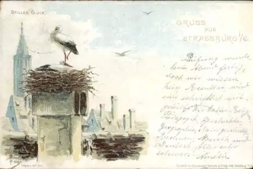 Künstler Litho Haas, Straßburg, Stilles Glück, Zwei Störche in ihrem Nest auf einem Schornstein