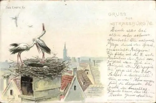 Ak Strasbourg Straßburg Elsass Bas Rhin, Störche, Storchennest, Dächer, Ei