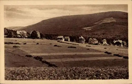 Ak Braunlage im Oberharz, Panorama, Neue Villen am Raum