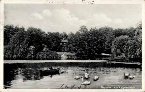 Ak Berlin Treptow, Am Karpfenteich, Boot, Schwäne