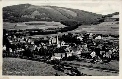 Ak Bigge Olsberg im Sauerland, Panorama