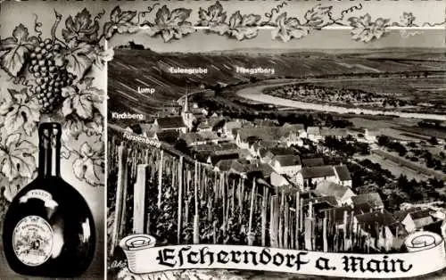 Ak Escherndorf Volkach in Unterfranken, Weinflasche, Panorama, Fürstenberg, Kirchberg, Lump