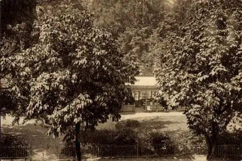 Ak Baden Baden am Schwarzwald, Frankfurter Hof, Garten