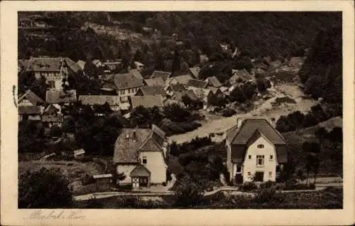 Ak Altenbrak Thale im Harz, Gesamtansicht