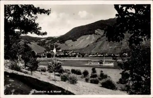 Ak Sennheim an der Mosel, Panorama, Dampfer