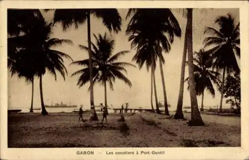 Ak Port Gentil Gabun, Kokospalmen in Port Gentil