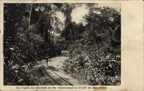 Ak Mayumbe Mayombe DR Kongo Zaire, Eisenbahnlinie durch den Wald