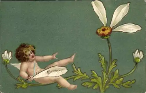 Präge Litho Engel, Weiße Blume, Blüte