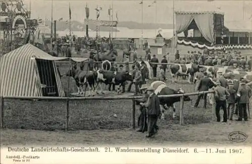 Ak Düsseldorf, Deutsche Landwirtschafts Gesellschaft, 21. Wanderausstellung, 1907, Besucher, Kühe