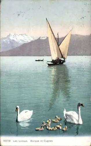 Ak Lac Léman, Barque et Cygnes, Schwäne mit Jungen, Fischerboot