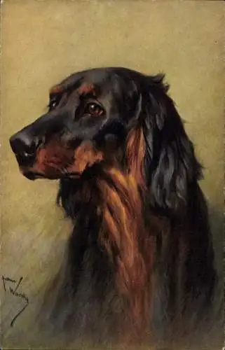 Künstler Ak Hundeportrait, Irish Setter