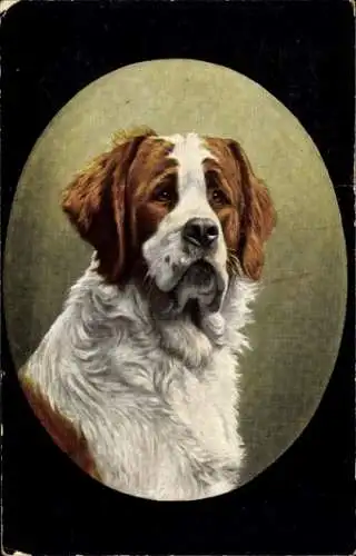 Künstler Ak Hundeportrait, Bernhardiner