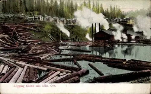 Ak Oregon USA, Logging Scene and Mill
