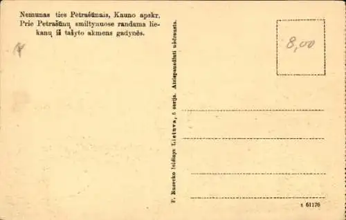 Ak Neumunas Litauen, Panorama