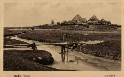 Ak Hallig Hooge in Nordfriesland, Middeltritt