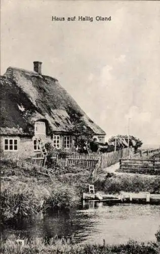 Ak Hallig Oland Nordfriesland, Reetdachhaus
