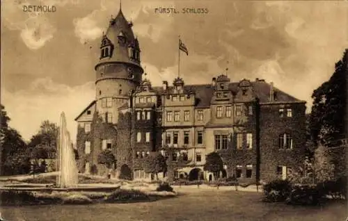 Ak Detmold in Nordrhein Westfalen, Fürstl. Schloss