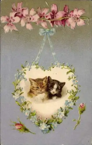 Ak Zwei junge Katzen, Herz aus Vergissmeinnicht, Rosen