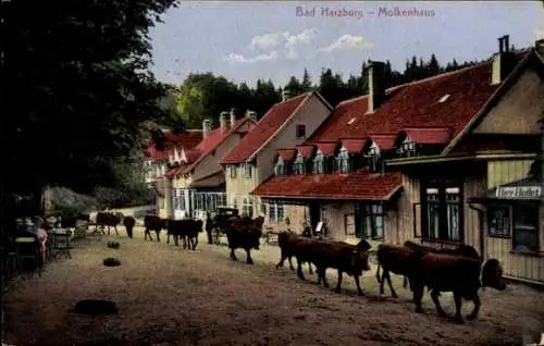 Ak Bad Harzburg am Harz, Molkenhaus