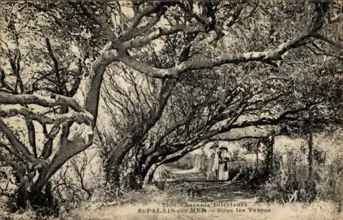 Ak Saint Palais sur Mer Charente Maritime, Sous les Yeuses