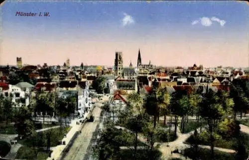 Ak Münster in Westfalen, Panorama