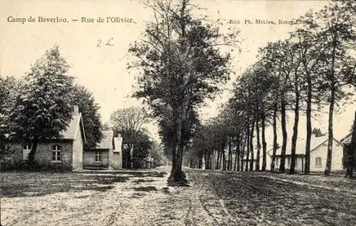 Ak Beverloo Beverlo Beringen Flandern Limburg, Camp de Beverloo, Rue de l'Olivier