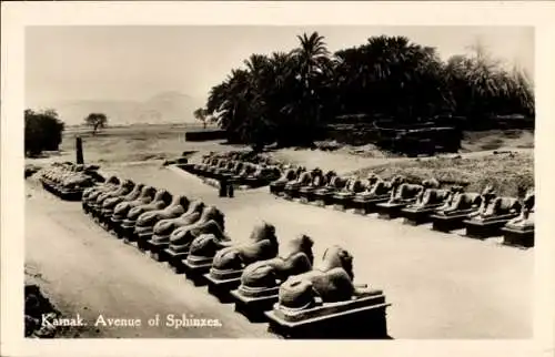 Ak Karnak Ägypten, Avenue der Sphinxen