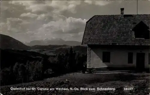 Ak St Corona am Wechsel in Niederösterreich, Panorama, Ödenhof