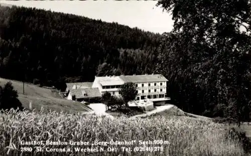 Ak St Corona am Wechsel in Niederösterreich, Gasthof Pension Gruber Berg-Ödenhof