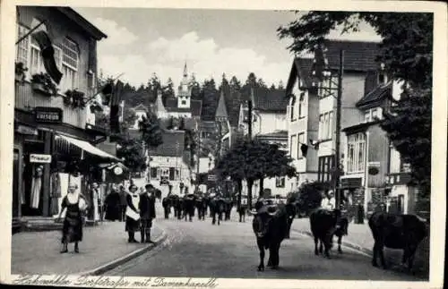 Ak Hahnenklee Goslar Harz, Dorfstraße mit Damenkapelle, Viehtrieb