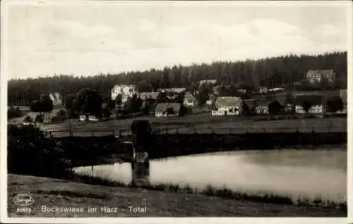 Ak Bockswiese Goslar im Harz, Totalansicht, Teich