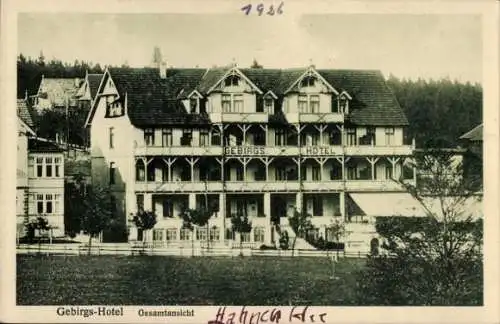 Ak Hahnenklee Bockswiese Goslar im Harz, Gebirgshotel