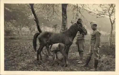 Foto Ak Soldaten in Uniform, Pferd, Fohlen