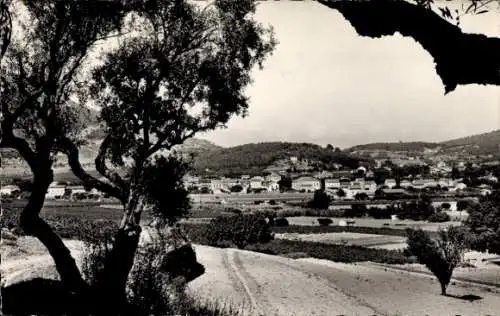 Ak Carqueiranne Var, Panorama