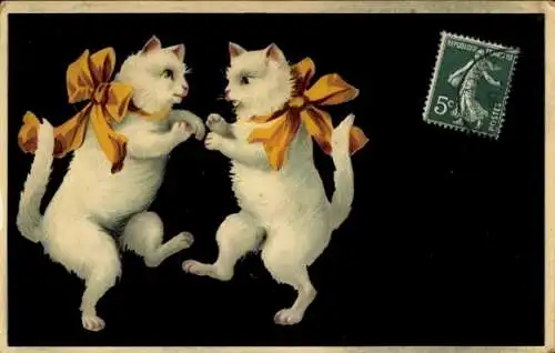 Ak Zwei weiße Katzen beim Tanzen