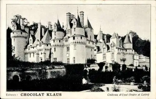 Ak Rigny Usse Indre et Loire, Chateau