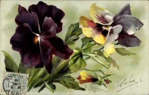 Künstler Ak Klein, Catharina, Stiefmütterchen