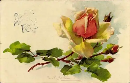 Künstler Ak Klein, Catharina, Rosenblüte