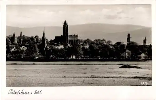 Ak Paczków Patschkau Oberschlesien, Panorama