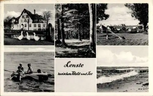 Ak Lenste Grömitz in Ostholstein, Ruderboot, Kinder, Campingplatz, Strandblick, Wald