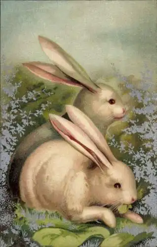 Ak Weiße Kaninchen, Wiese, Tierportrait