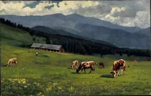 Künstler Ak Hoffmann, H., Kühe auf der Weide, Bergpanorama, Großer Belchen