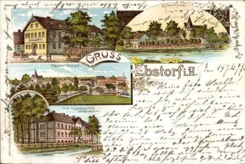 Ak Ebstorf in der Lüneburger Heide, Gasthof, Kirche, Kloster, Ackerbauschule