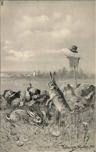 Künstler Litho Müller, Hasen, Kohlsalat, Feld, Vogelscheuche
