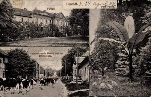 Ak Destedt Cremlingen in Niedersachsen, Schloss, Park, Heimkehrende Herde, Dorfstraße