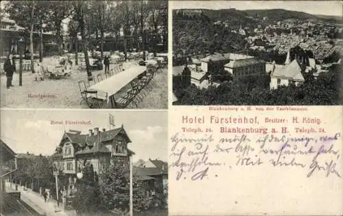 Ak Blankenburg am Harz, Hotel Fürstenhof, Hotelgarten